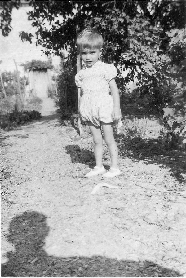 Image de largeur 730 pixels