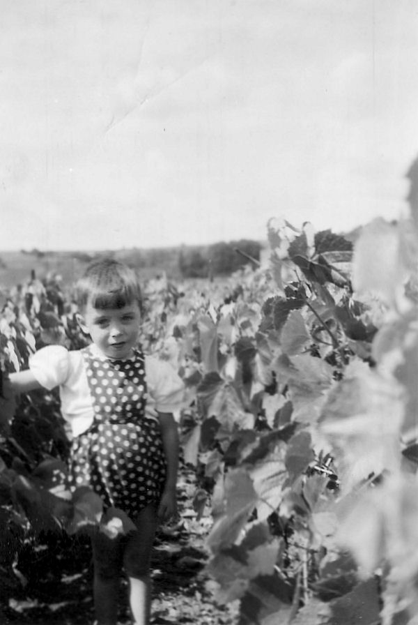 Image de largeur 730 pixels