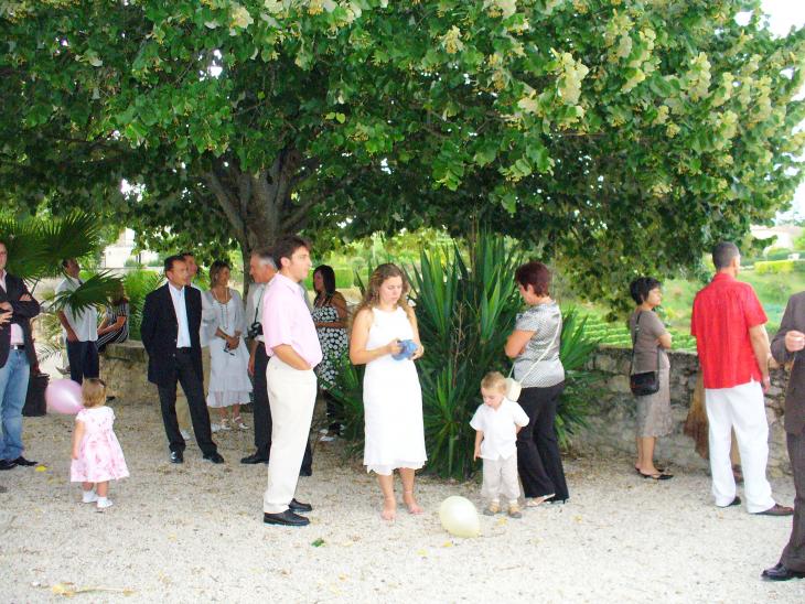 Image de largeur 730 pixels