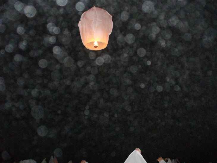 Image de largeur 730 pixels