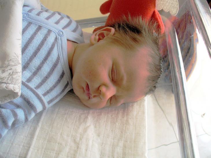 Image de largeur 730 pixels